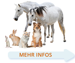 mehr Infos